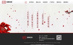 宝蓁投资基金公司网站页面效果
